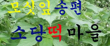 상세보기