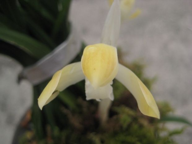 상세보기