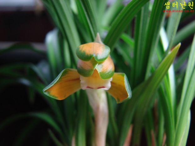 상세보기