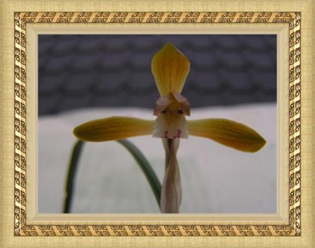 상세보기