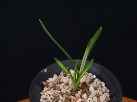 상세보기