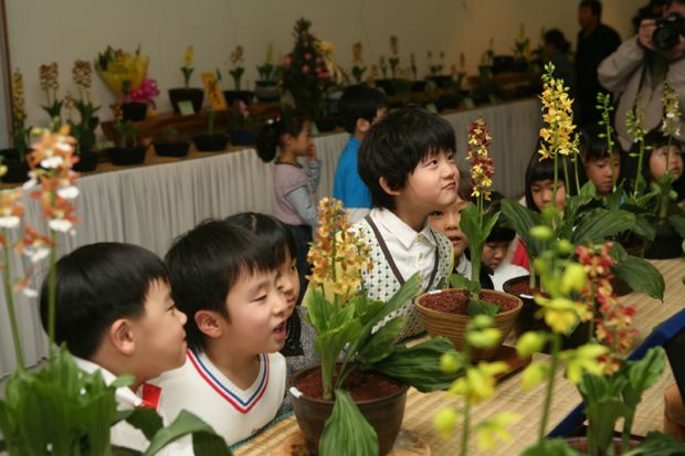 상세보기