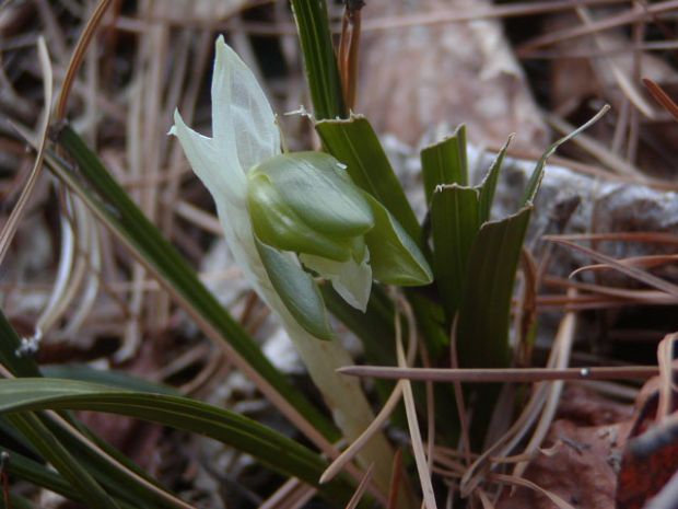 상세보기
