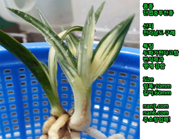 상세보기