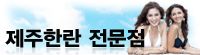 상세보기