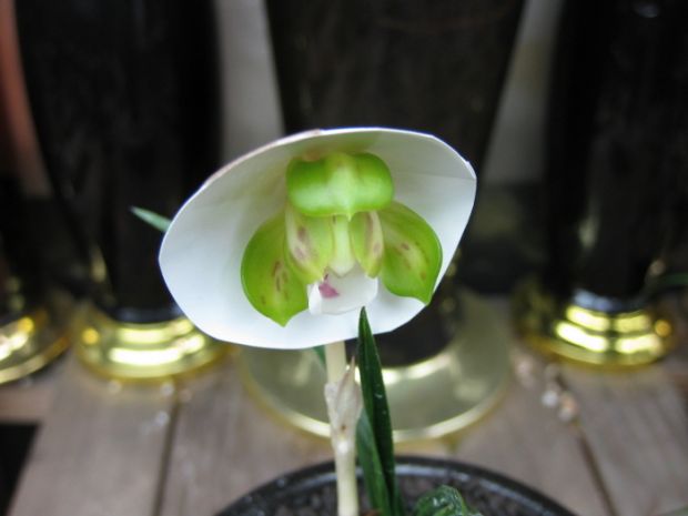 상세보기