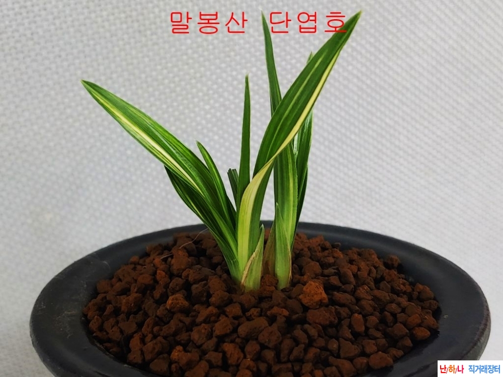 [관심상품]