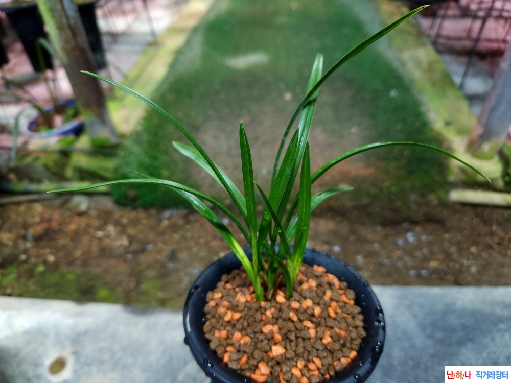 종자좋은 입변기부서?