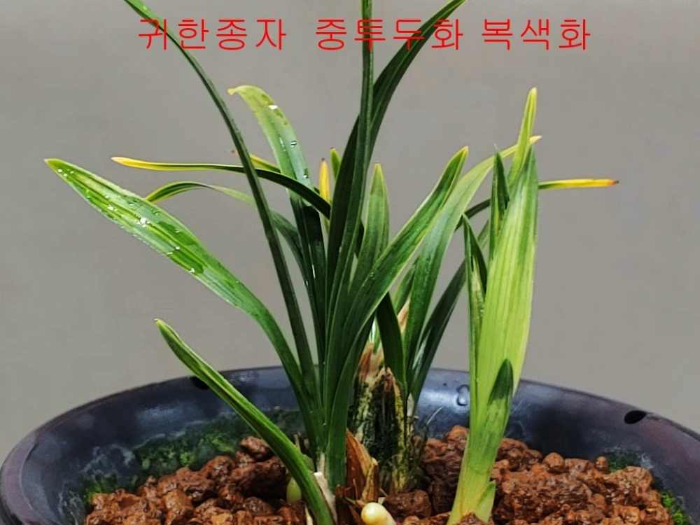 상담판매