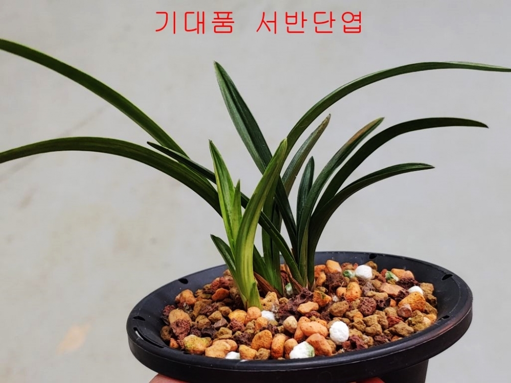 복예품