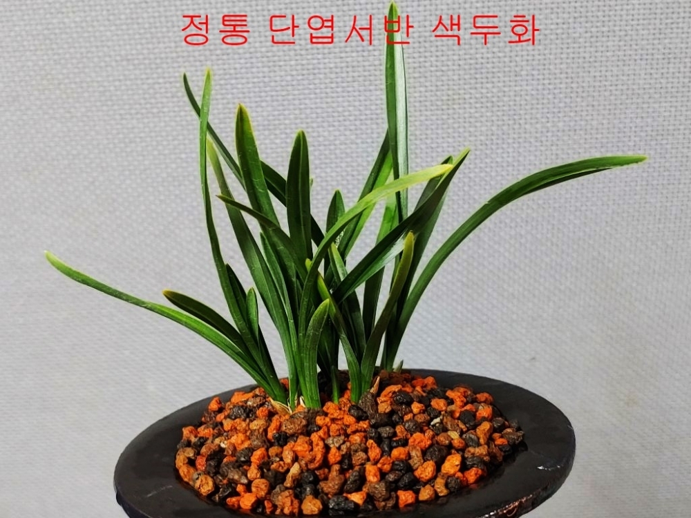 기대품