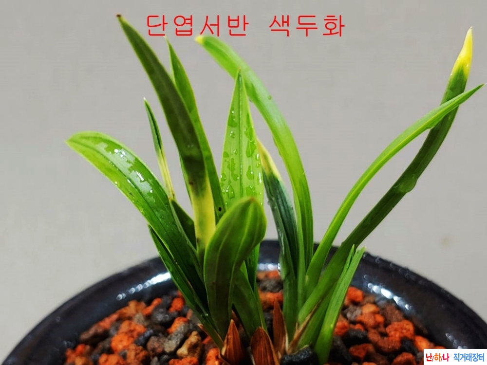 [관심상품]