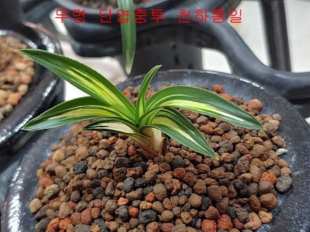 즐감 하세요