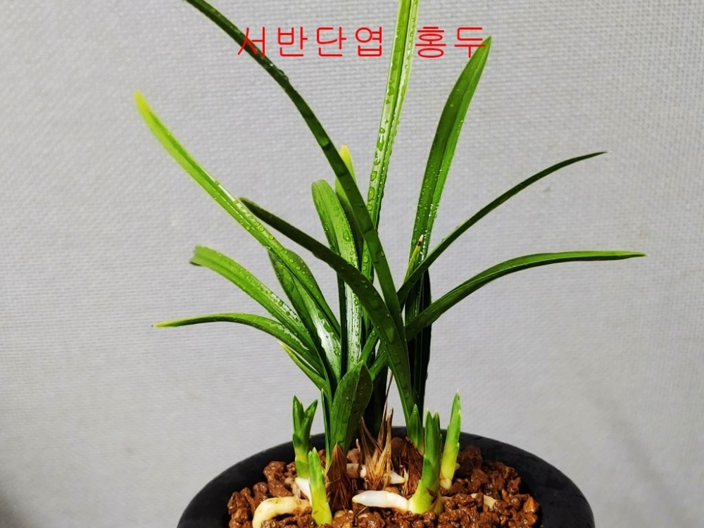 [관심상품]