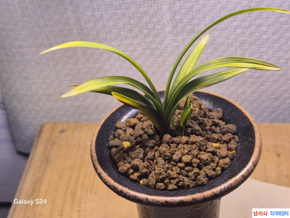 산반중투 최상작