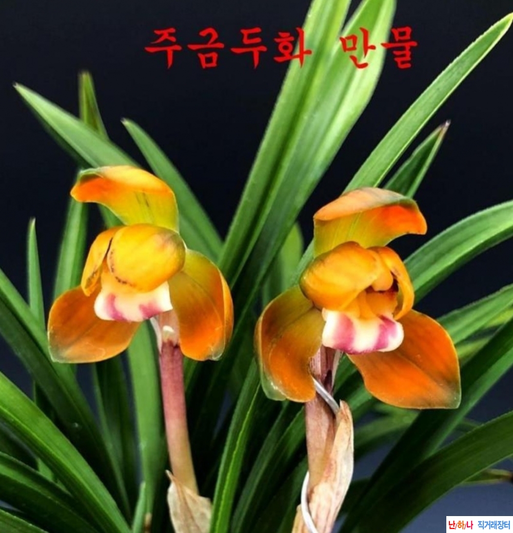 만물