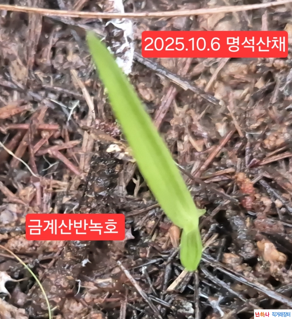 산체두화변