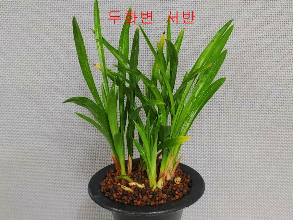 [관심상품]