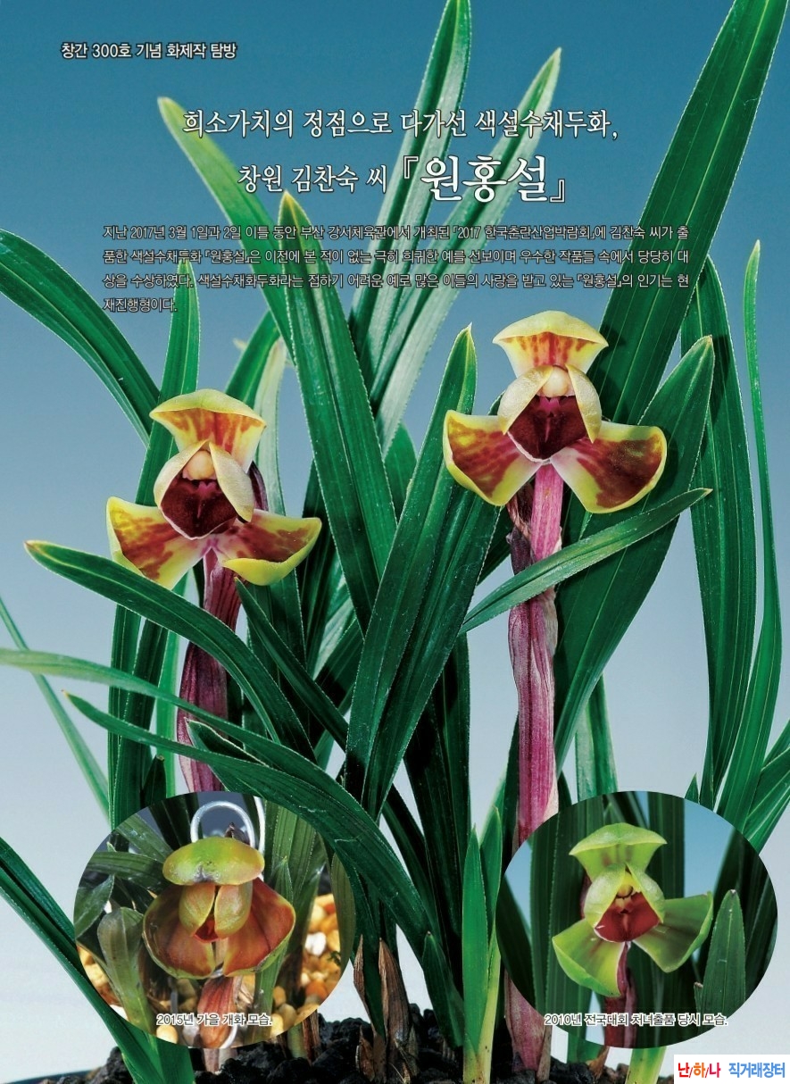 ,수채색설 두화 (원홍?