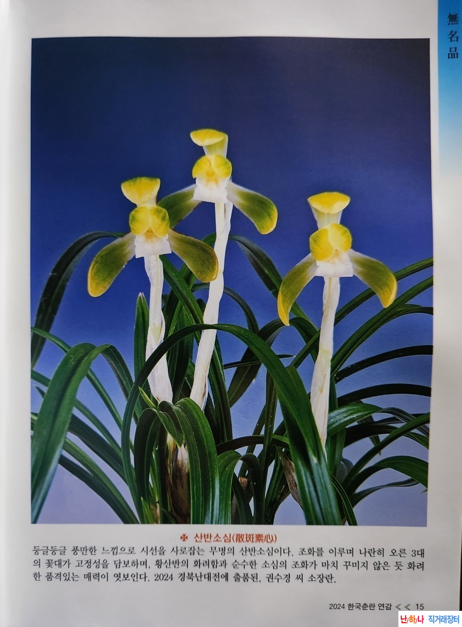 황산반소심 (돌담길)~*