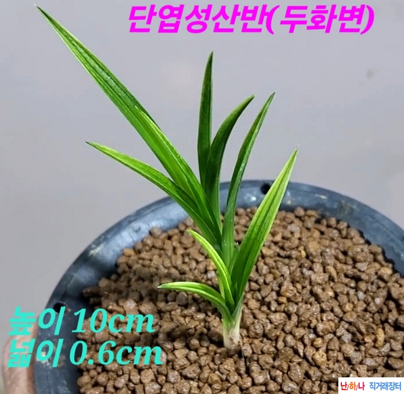 특가상품☆☆☆☆☆