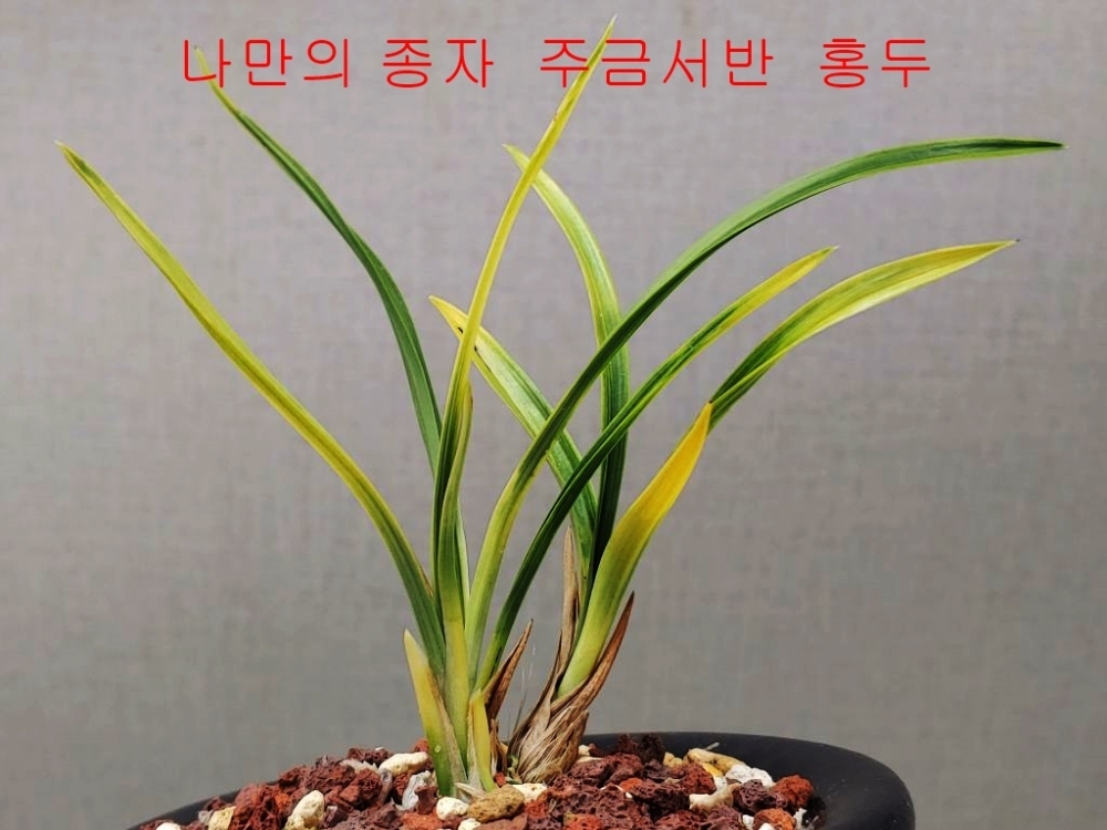[관심상품]