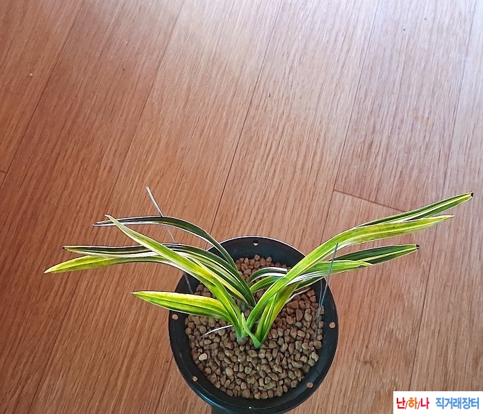 재등재금계산반녹호