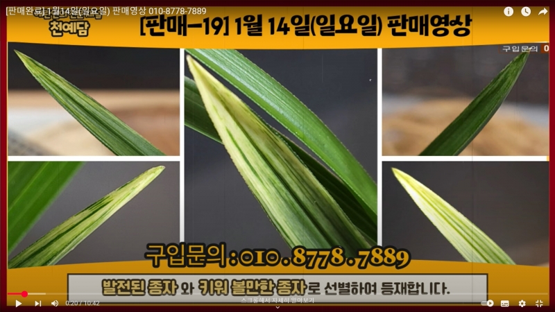 종자로 남긴 종자