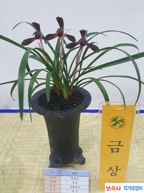 명품자화색설화
