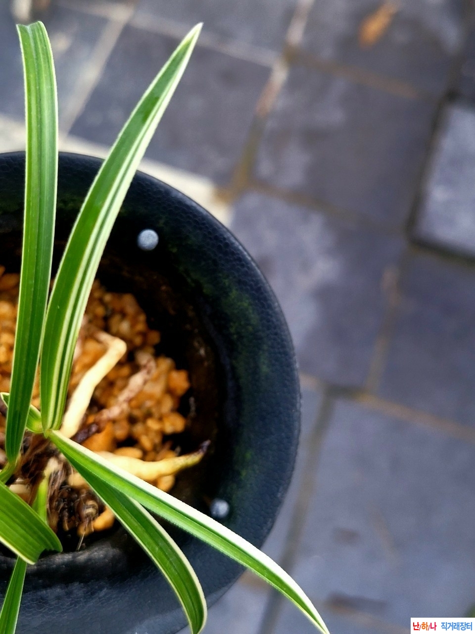 발전호복륜압니다