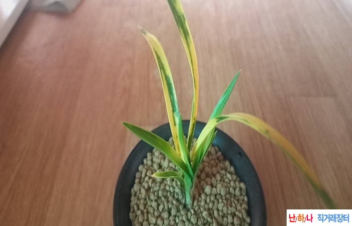 가격할인극황서호반.?