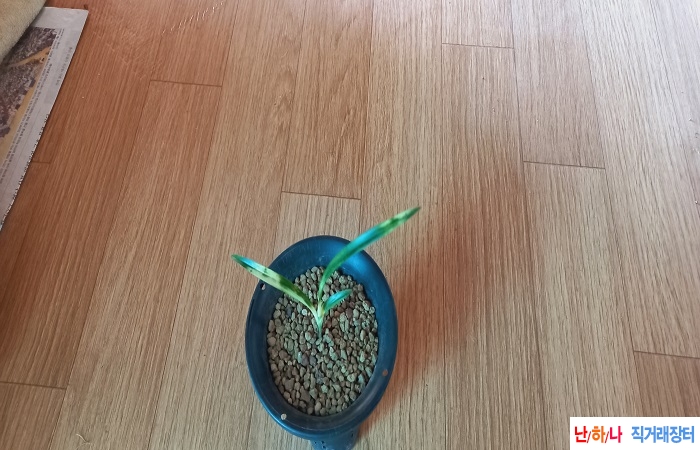 입변황서호반