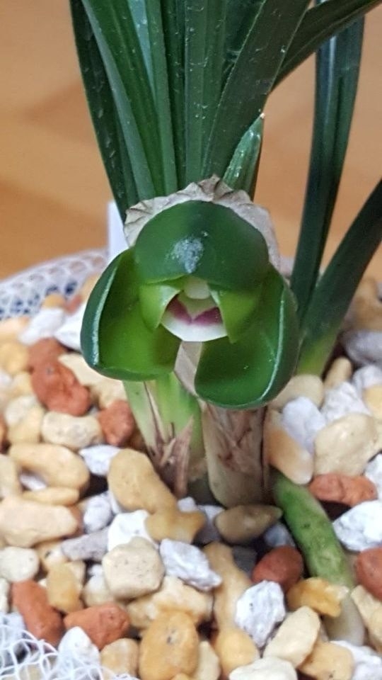 취록두화