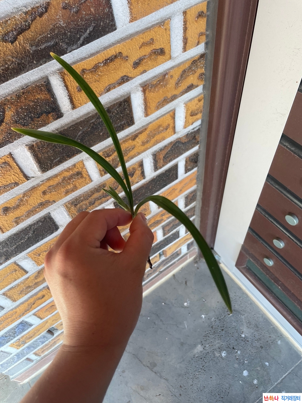 입변소심2
