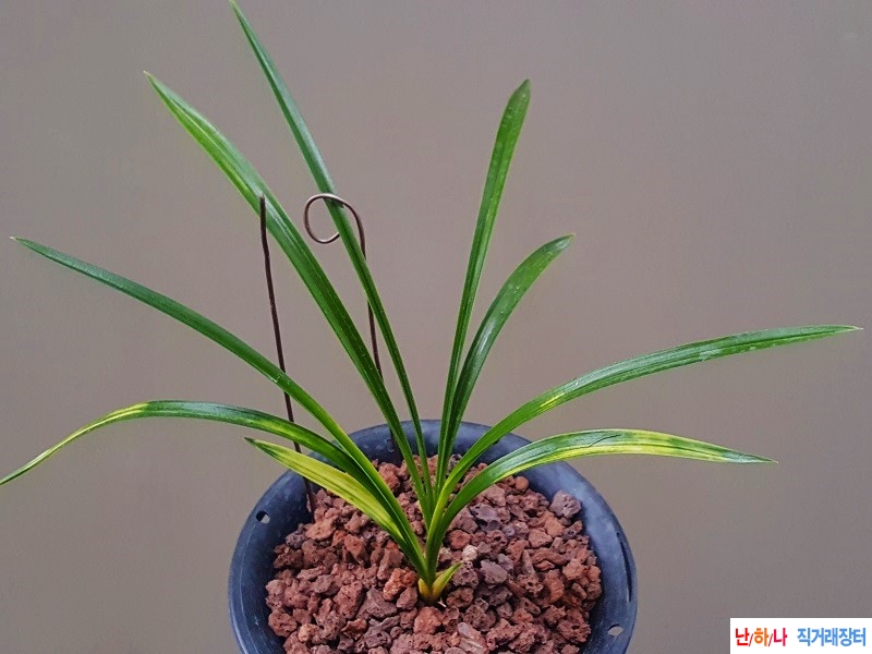 종자하세요. (서호반)