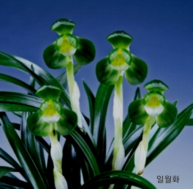 명명품