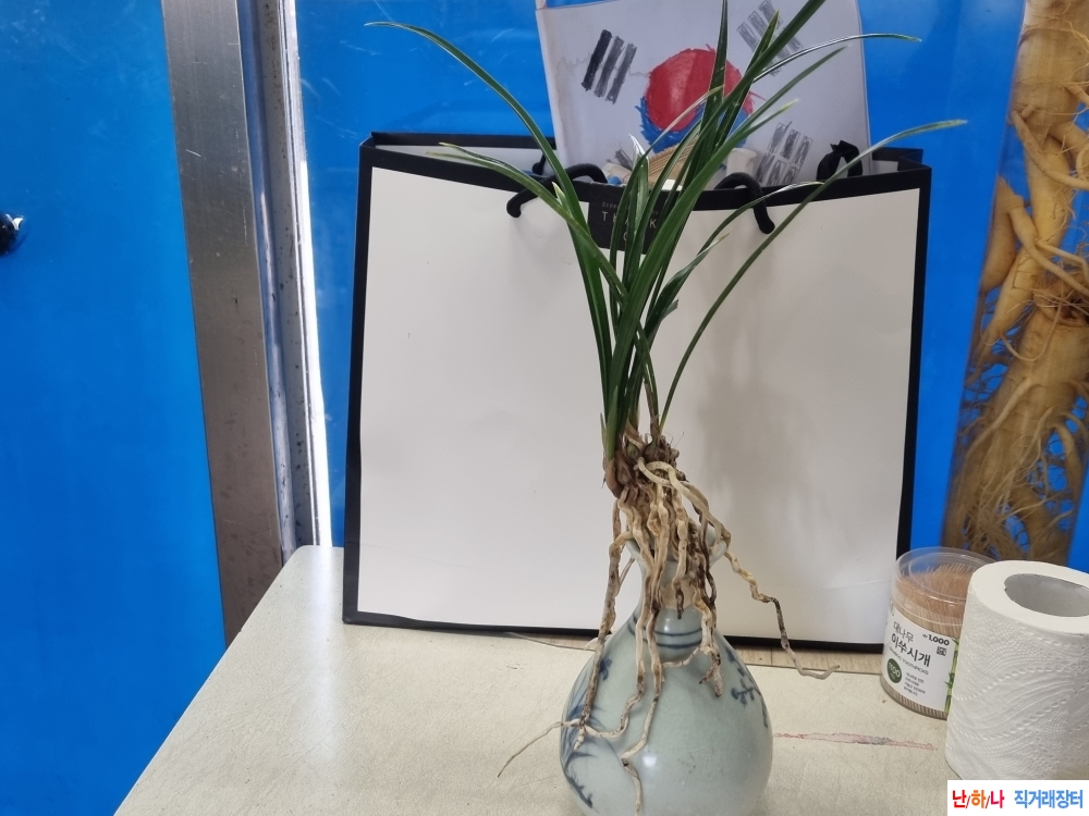 산채출발 진청 입변황?