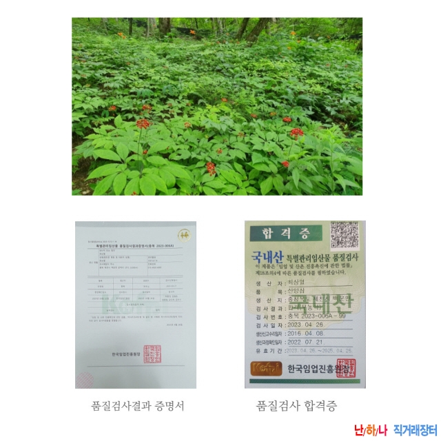 산양삼 7년근세트