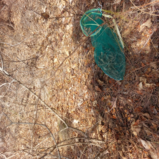 자연산 천문동 판매합?