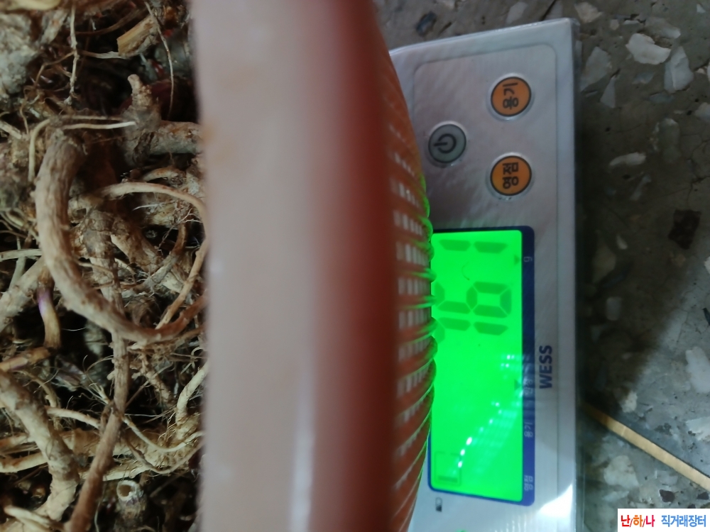 자연야생연삼판매