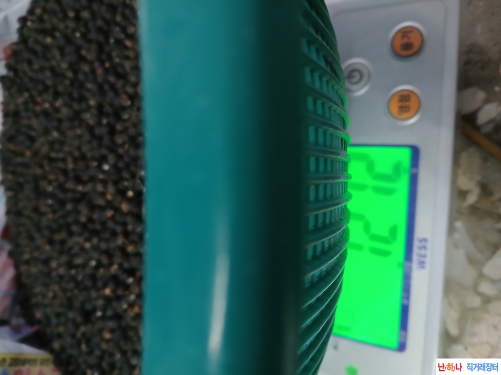 쥐똥목(남정목)열매(남?