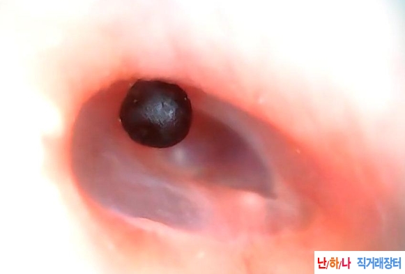 왕불류행 ,왕불류,장구채,장구?