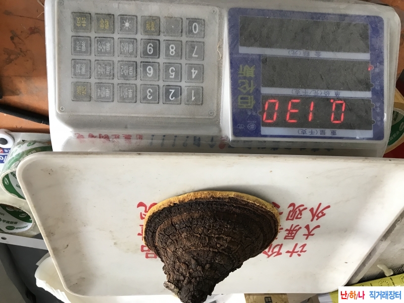 1번 130그람 색상 노오란 뽕상?