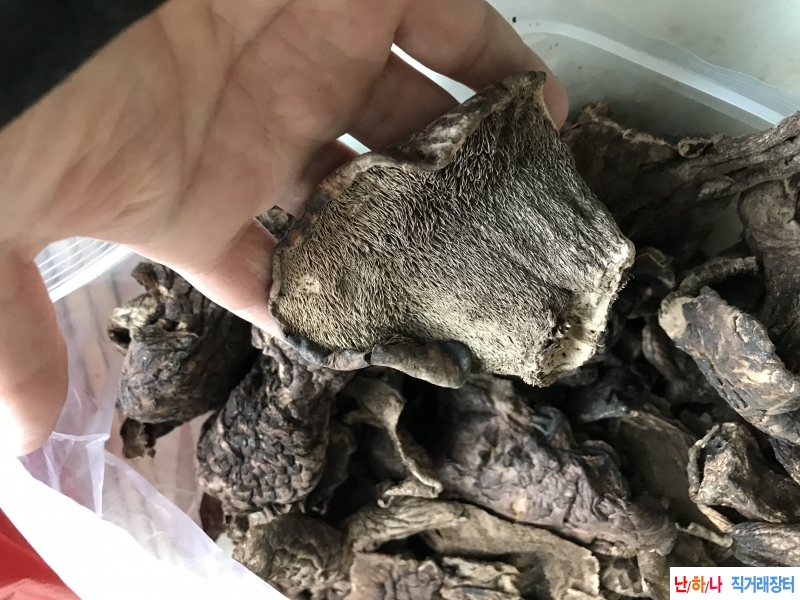북한 능이버섯 정상 통?
