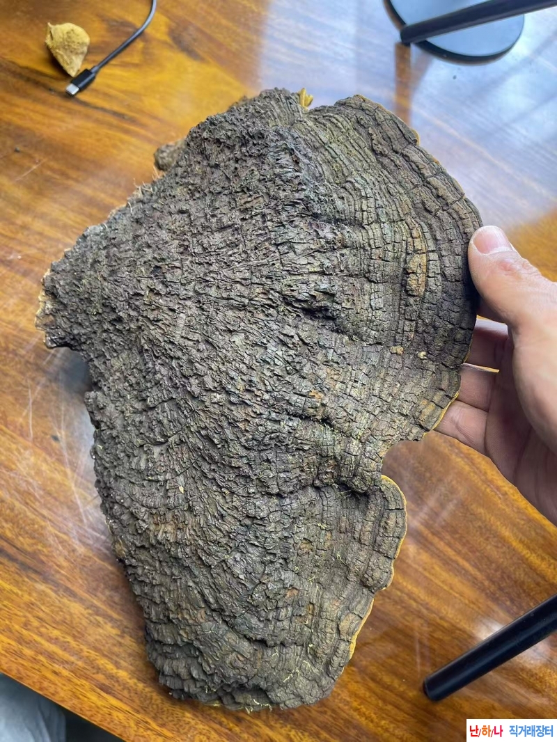 4근반짜리 대물 뽕상황?