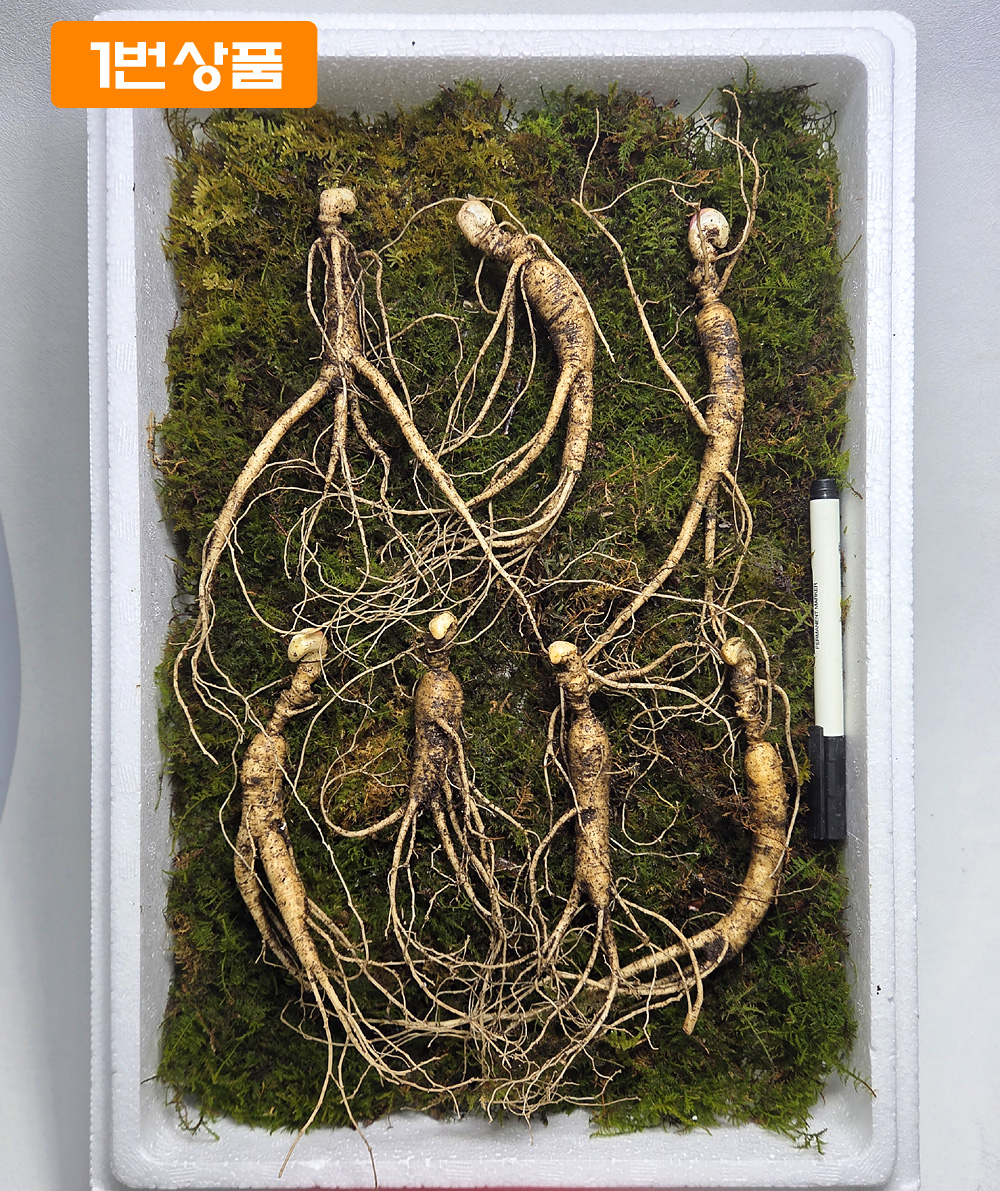 15년이상 방치삼