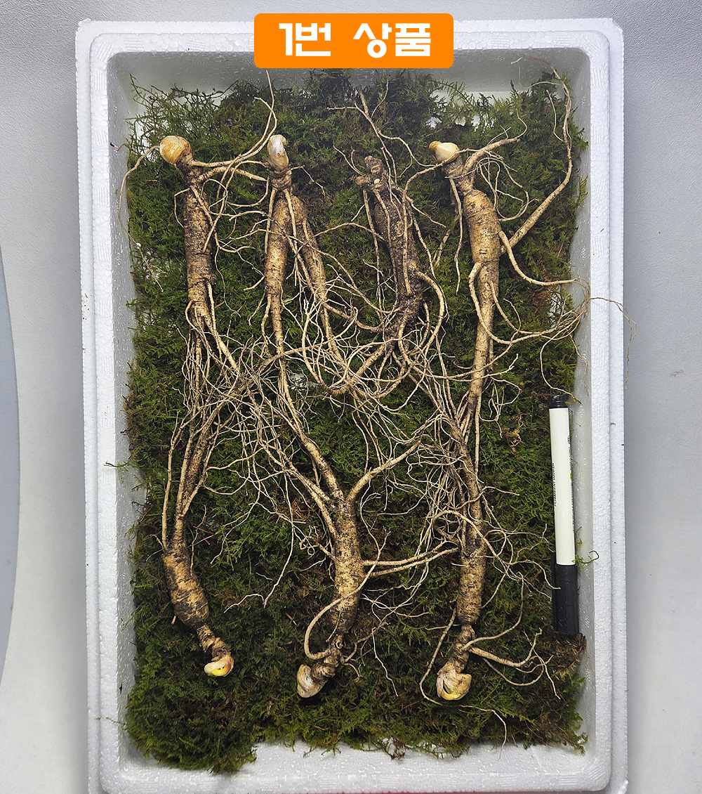 15년 이상 방치삼 할인?