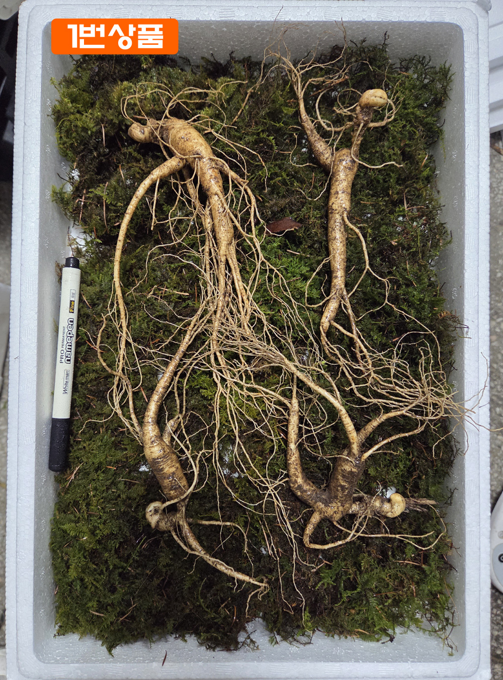 15~18년 산양삼 세트