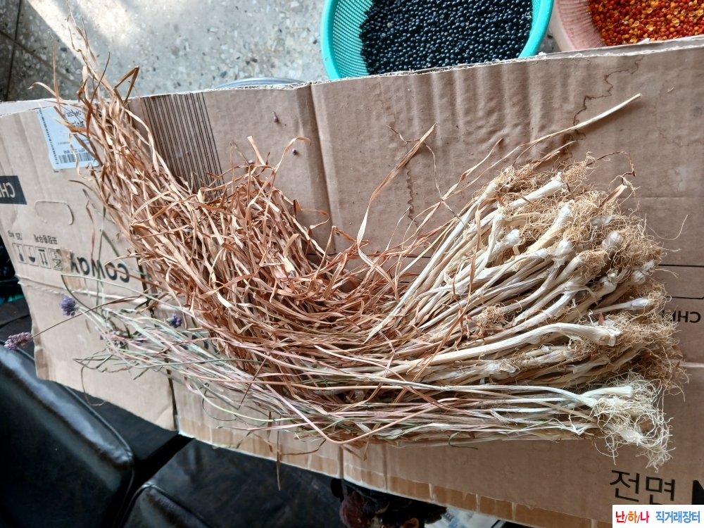 자연산부추건제품