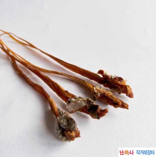 안경사 뱀 거시기,생식?